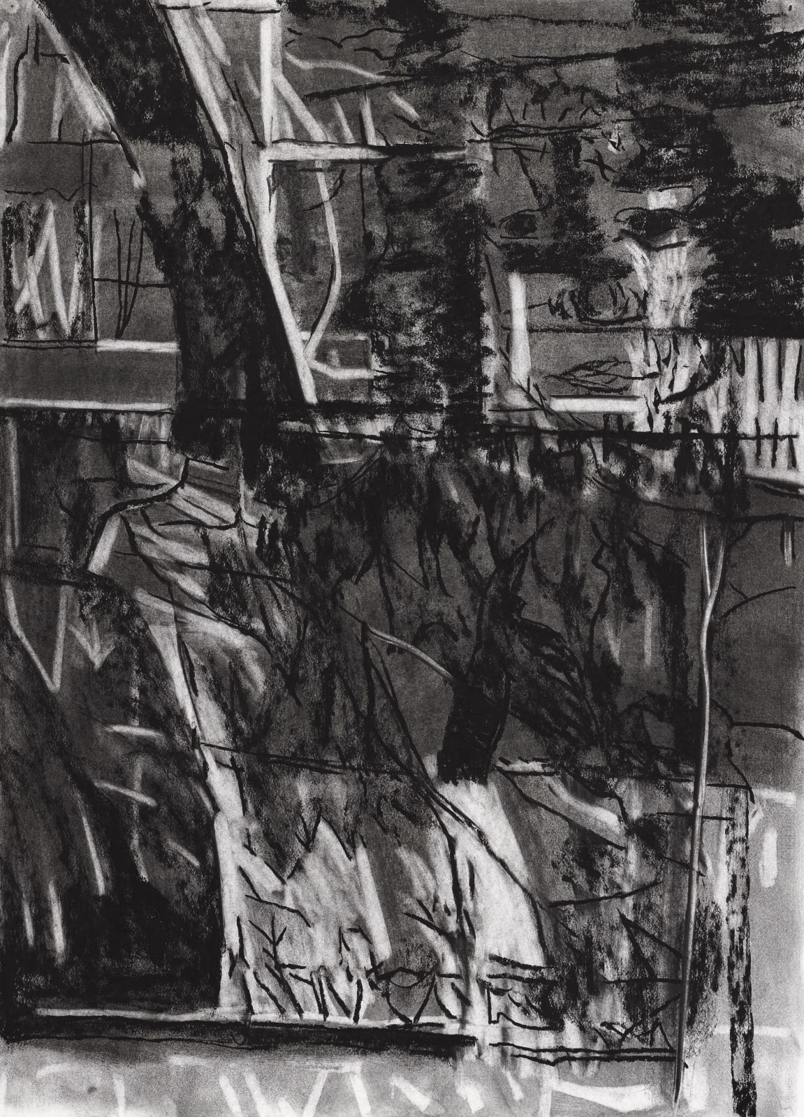 Paddy McCann, Shop Window I, 2005