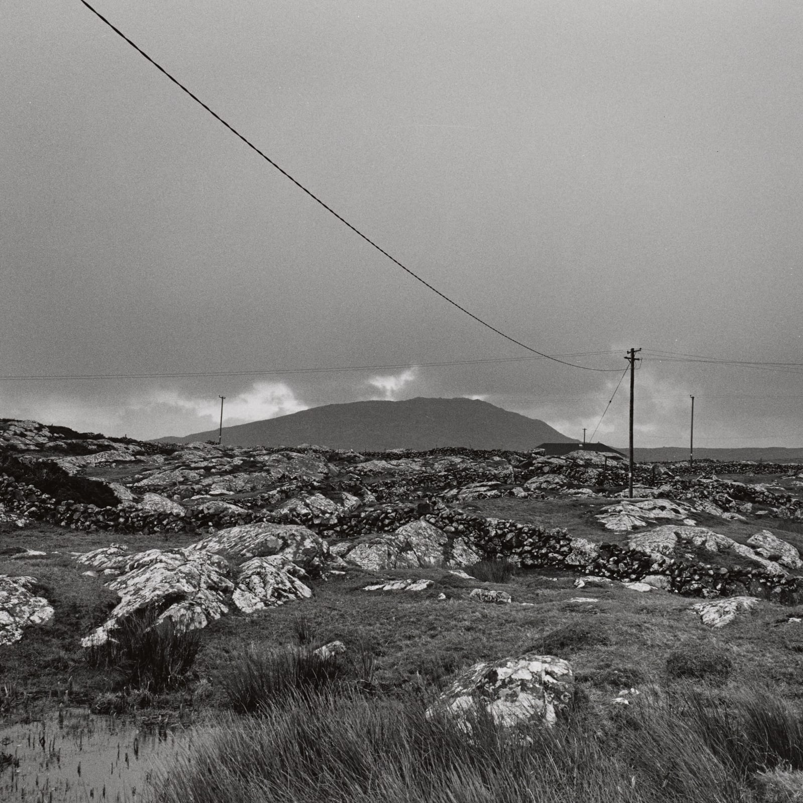 Rachel Brown, Afternoon, Connemara - Winter Solstice, 1997