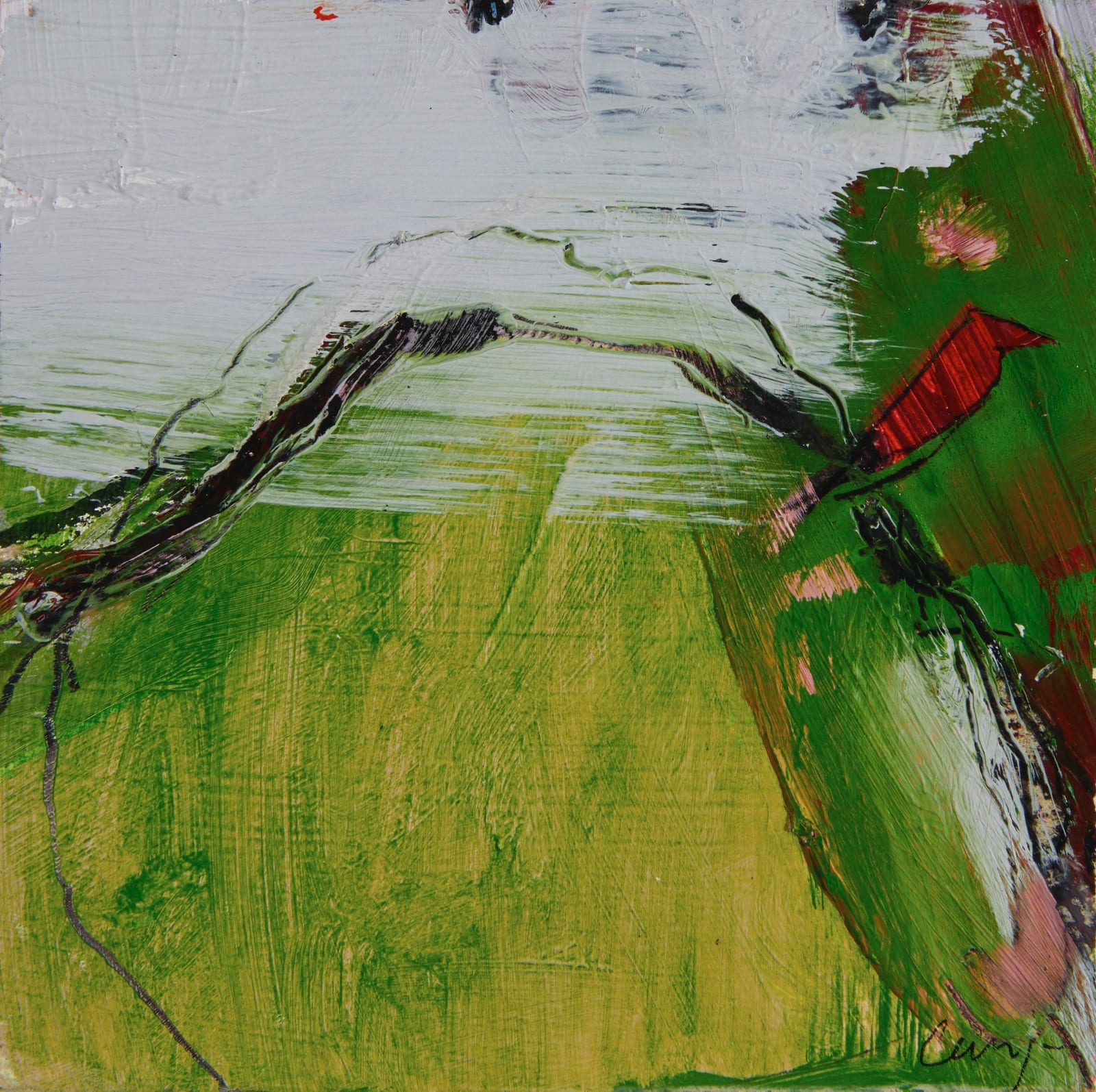 Patricia Carrigan, Field iv, 2007