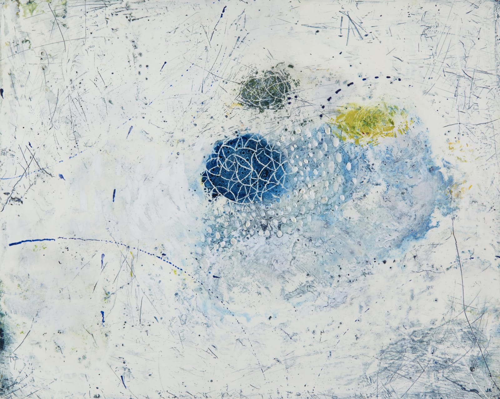 Joanna Kidney, it put its face up to my face so i could see XVIII, 2015
