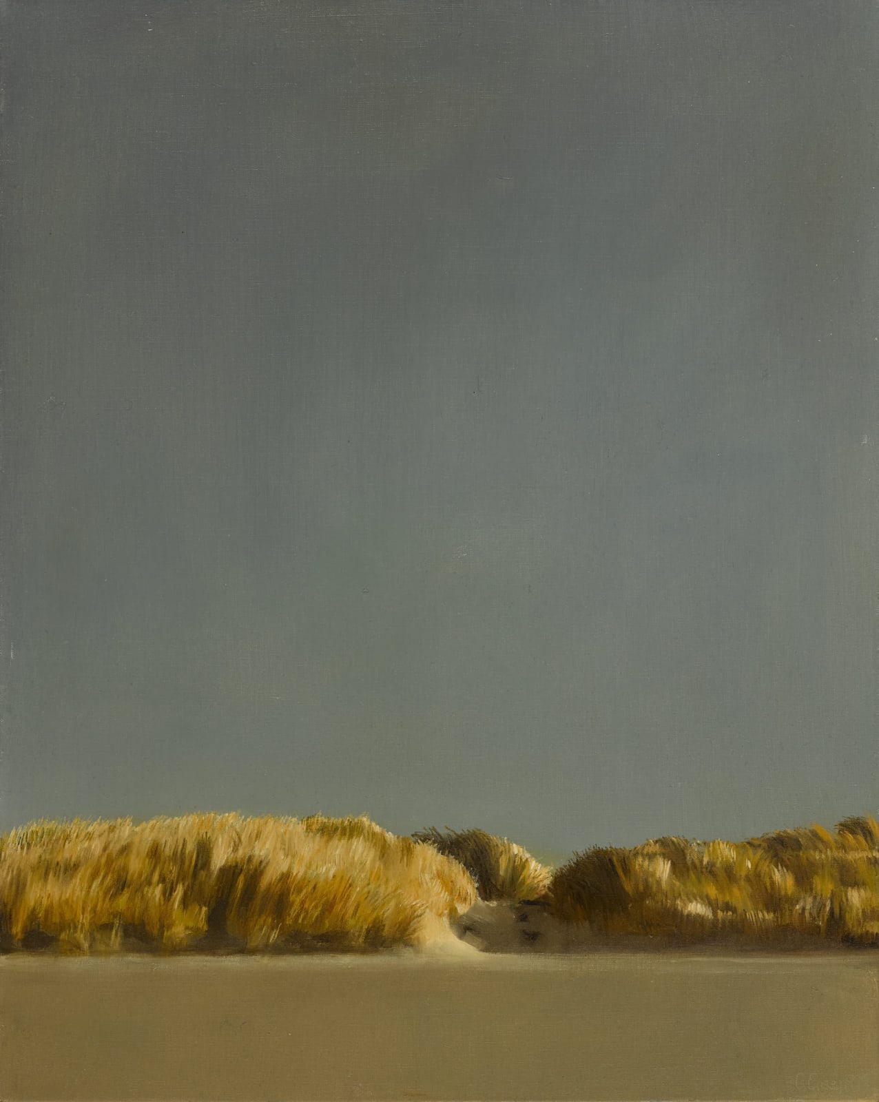 Comhghall Casey, Sand Dune, Mullet Peninsula, 1999