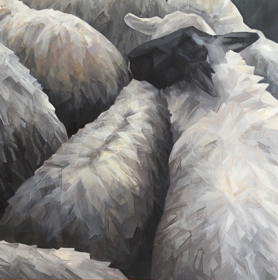 Kathleen Buchanan, Ballina Flock I, 2020