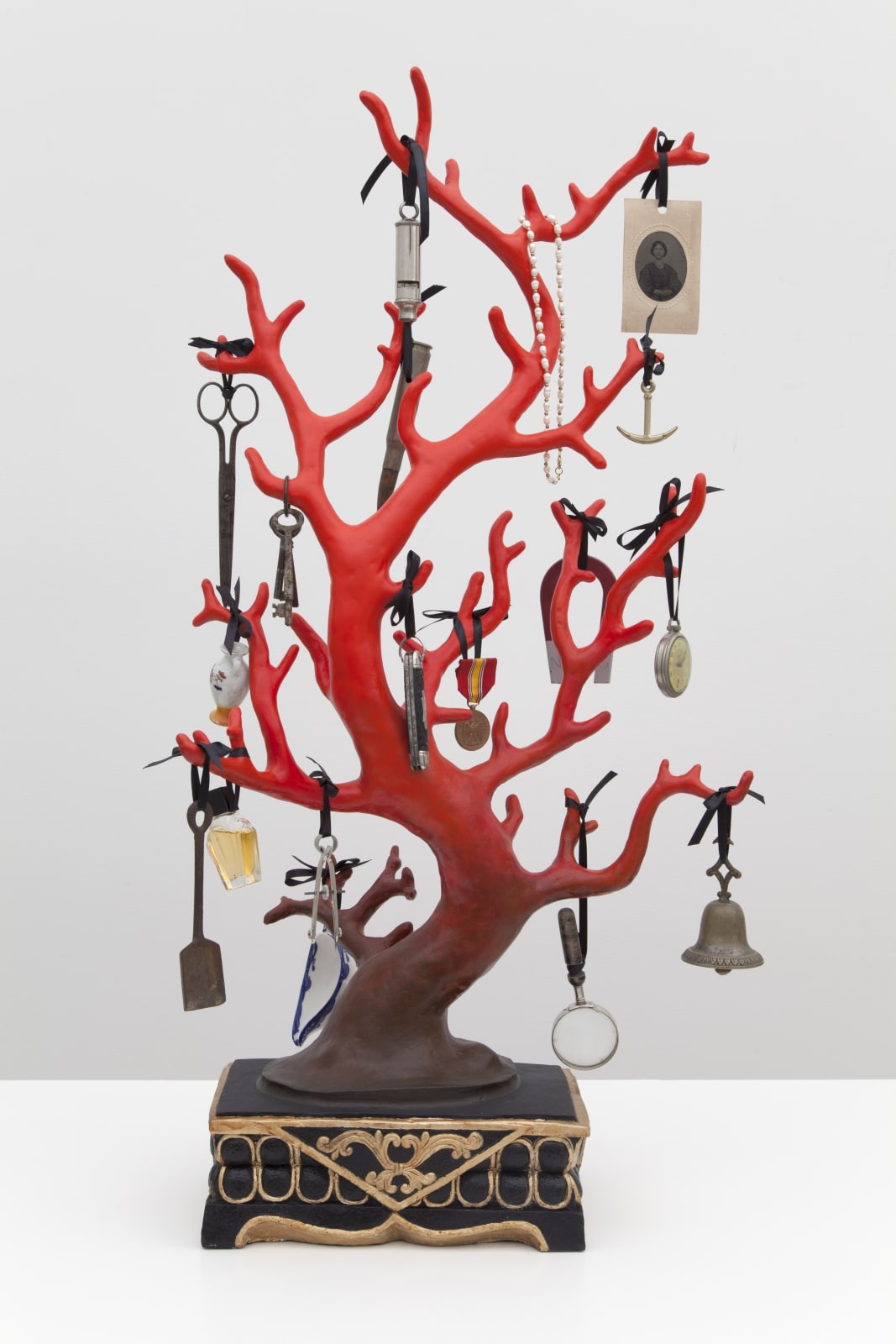 Mark Dion, Blood Coral, 2019