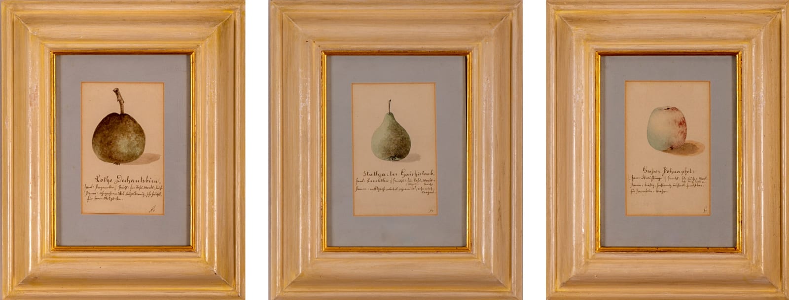 German School, A set of three still life drawings of apples and a pear, 19th century