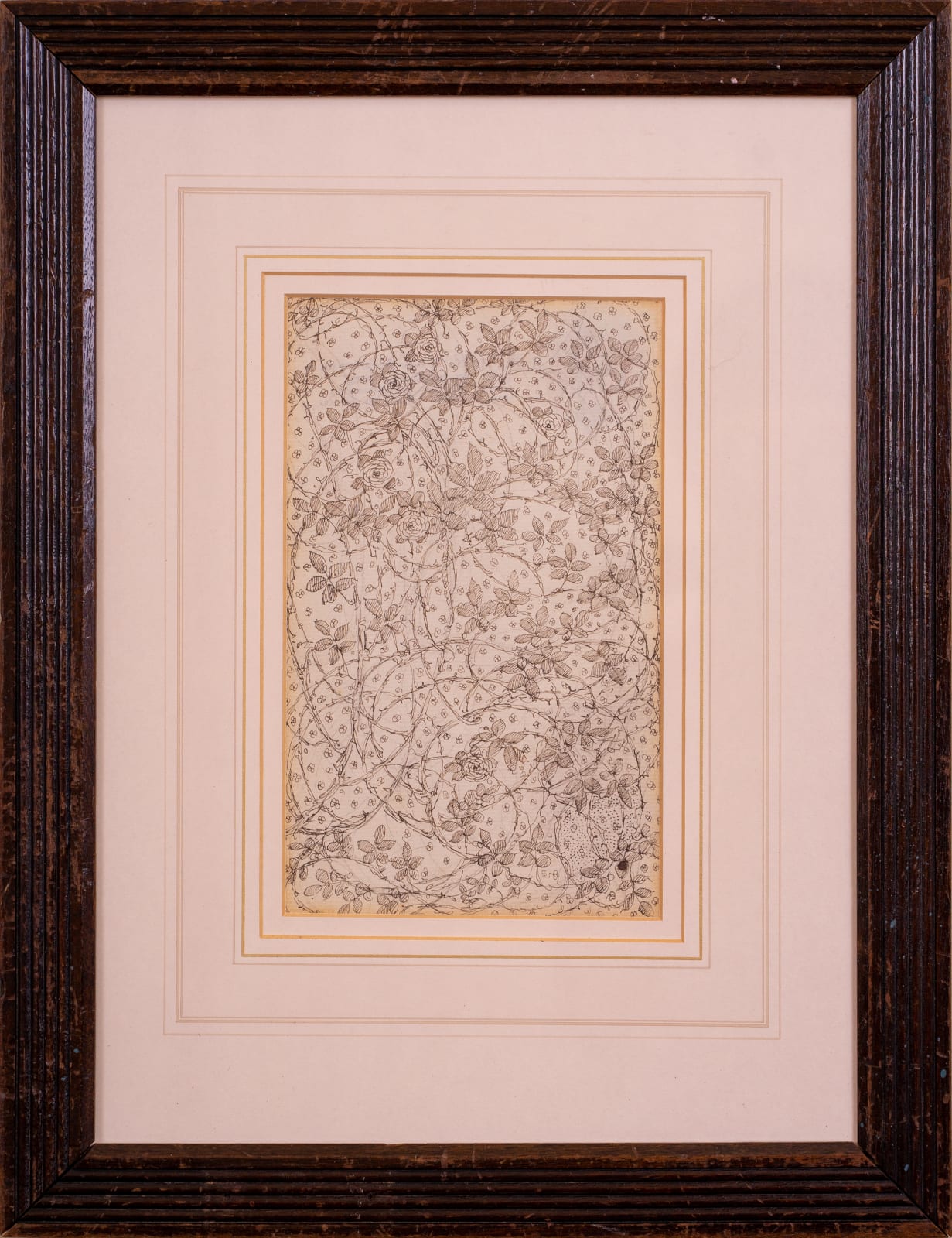 Annie French, Study for