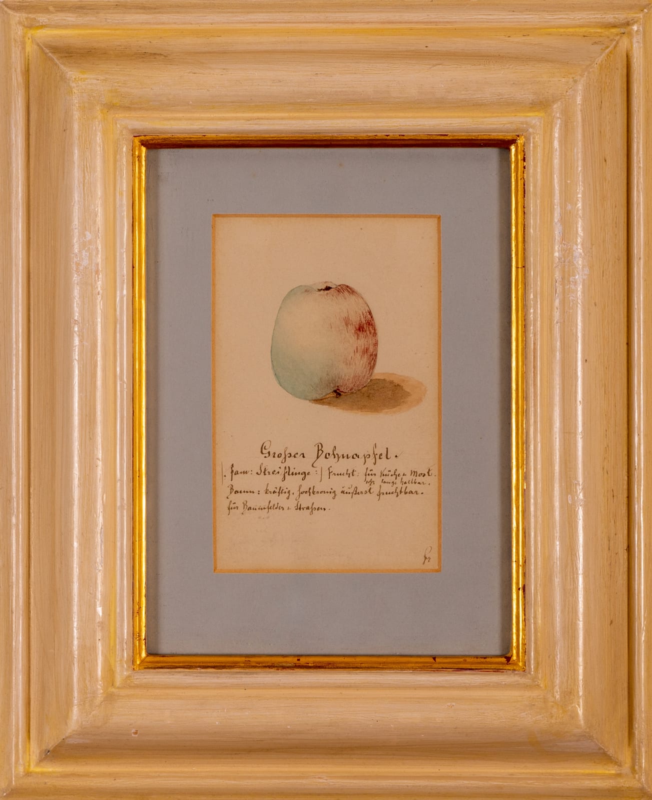 German School, A set of three still life drawings of apples and a pear, 19th century