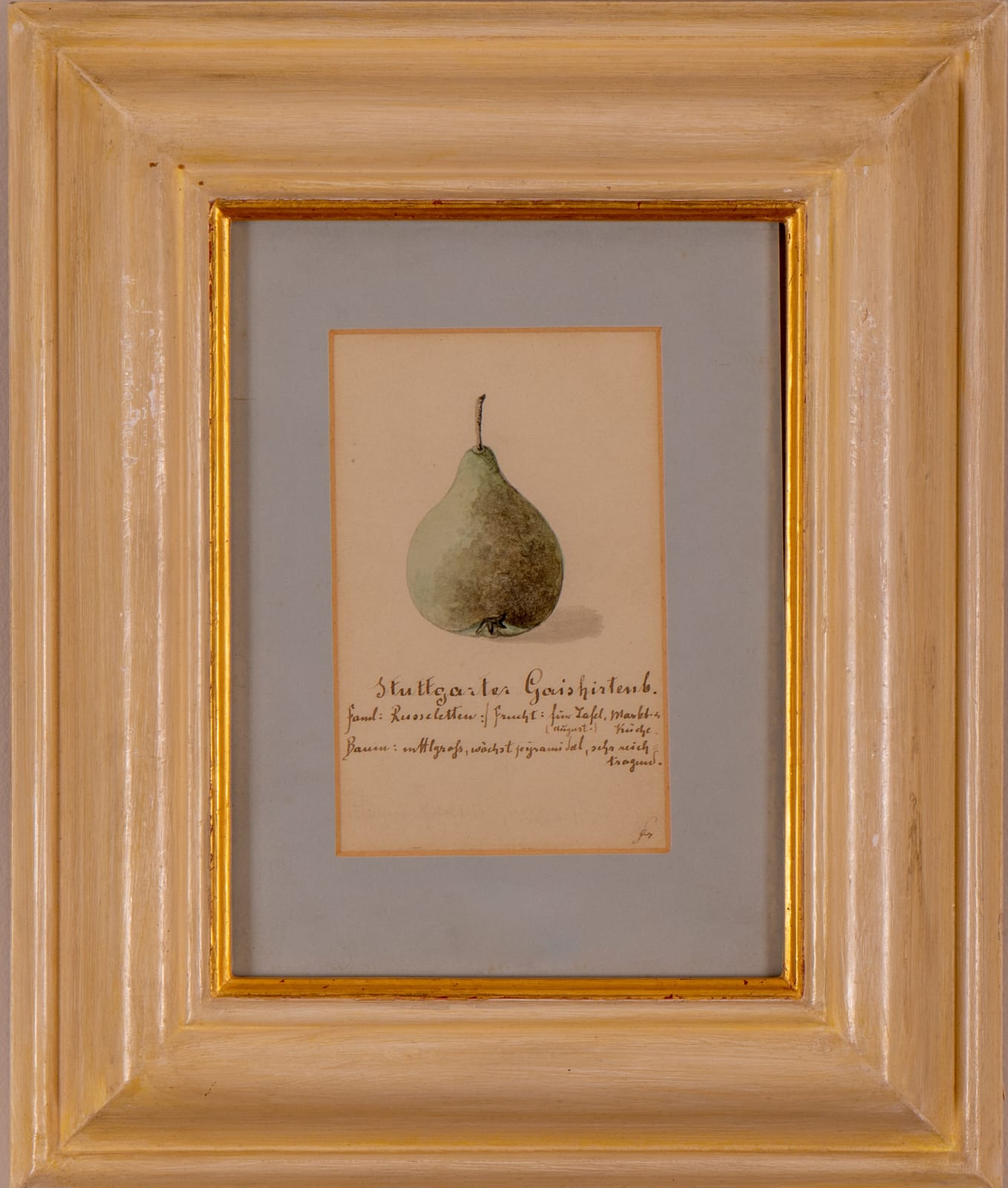 German School, A set of three still life drawings of apples and a pear, 19th century