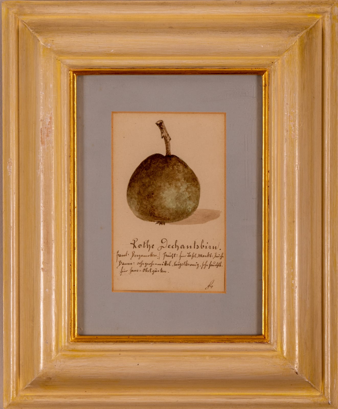 German School, A set of three still life drawings of apples and a pear, 19th century