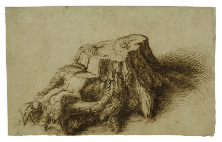 The Carters' oak grove consists of nine identical tree stumps, fabricated in bronze, which take as their starting point Jacob...