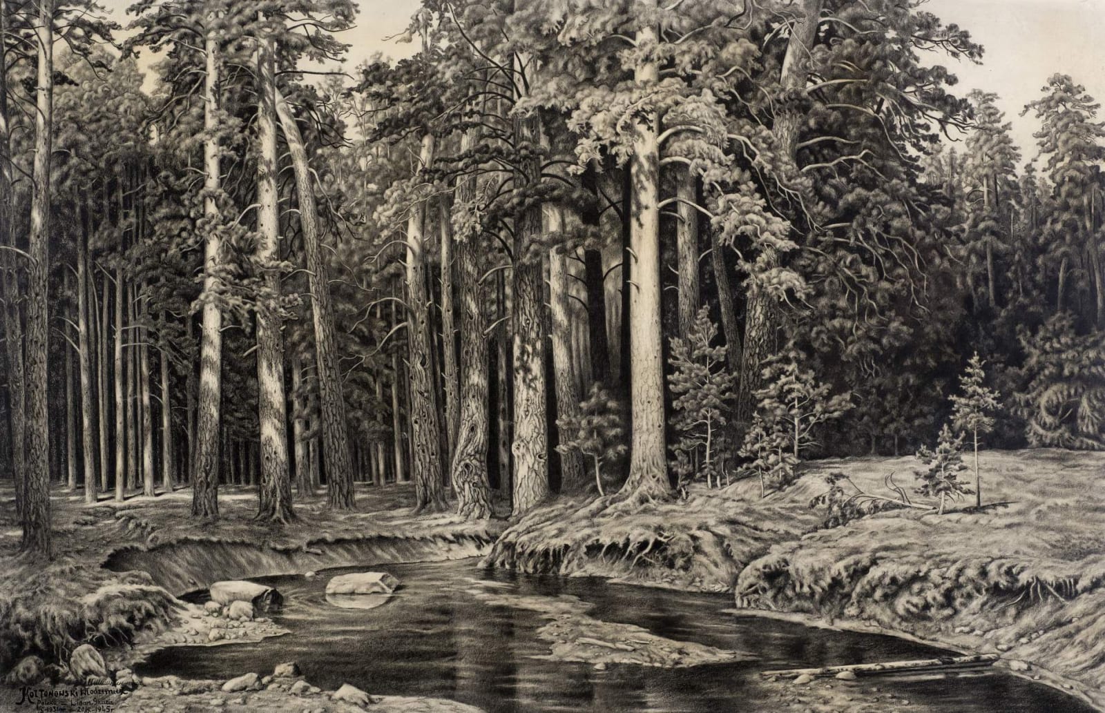 Wlodzimierz Koltonowski (1888-1973) Forest 1931-45 Charcoal and pencil on paper 106 x 145 cm The Polish Library, POSK in London
