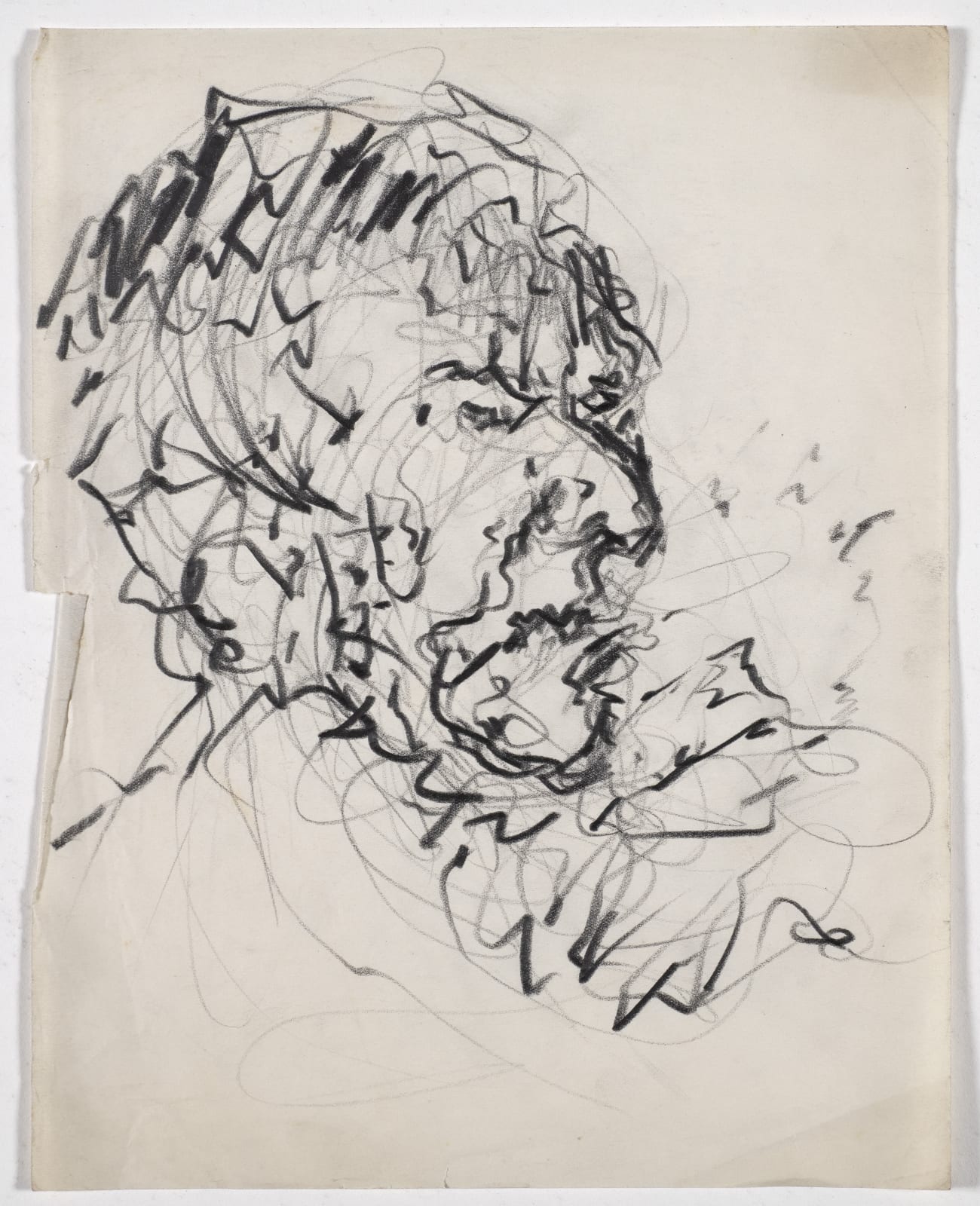 Head of a Man, c. 1948-49 Crayon on paper The Gustav Metzger Foundation