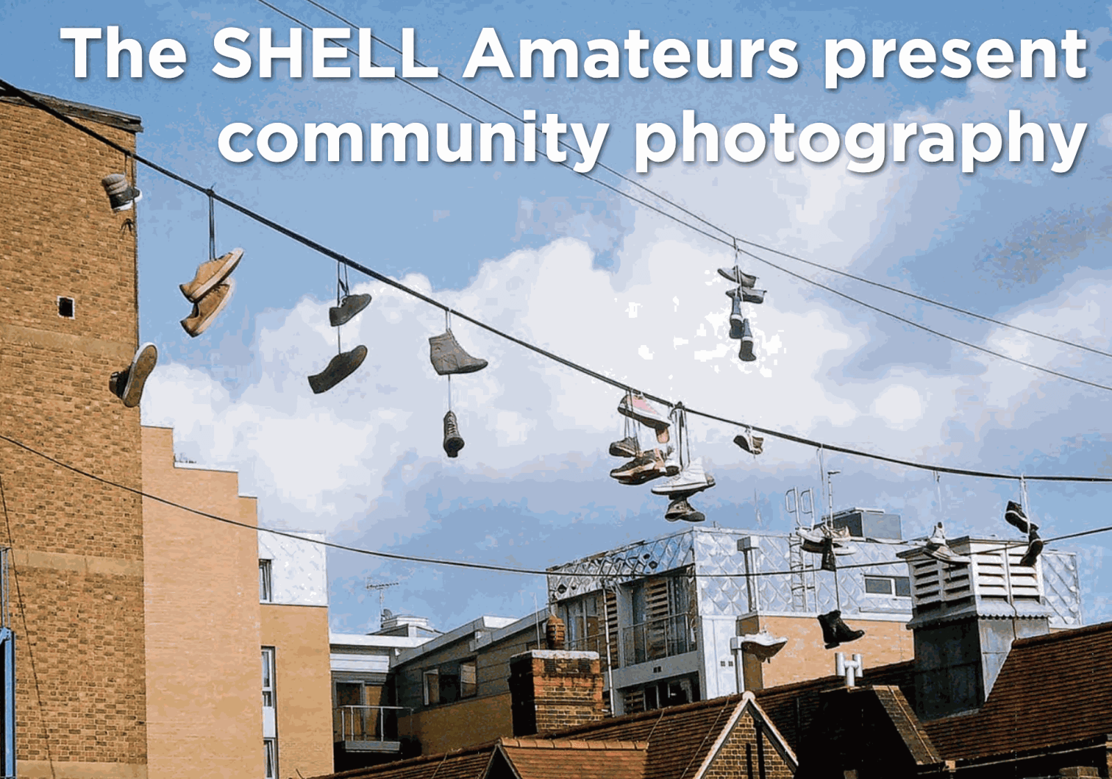 The SHELL Amateurs: Community Photography Read it here
