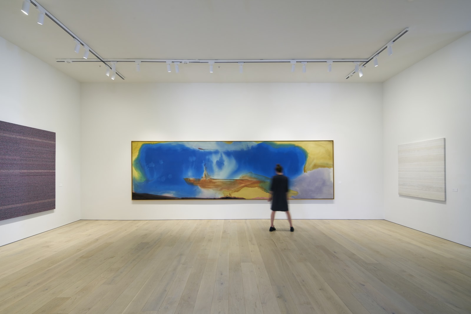 Installation view of Human Form, 2017