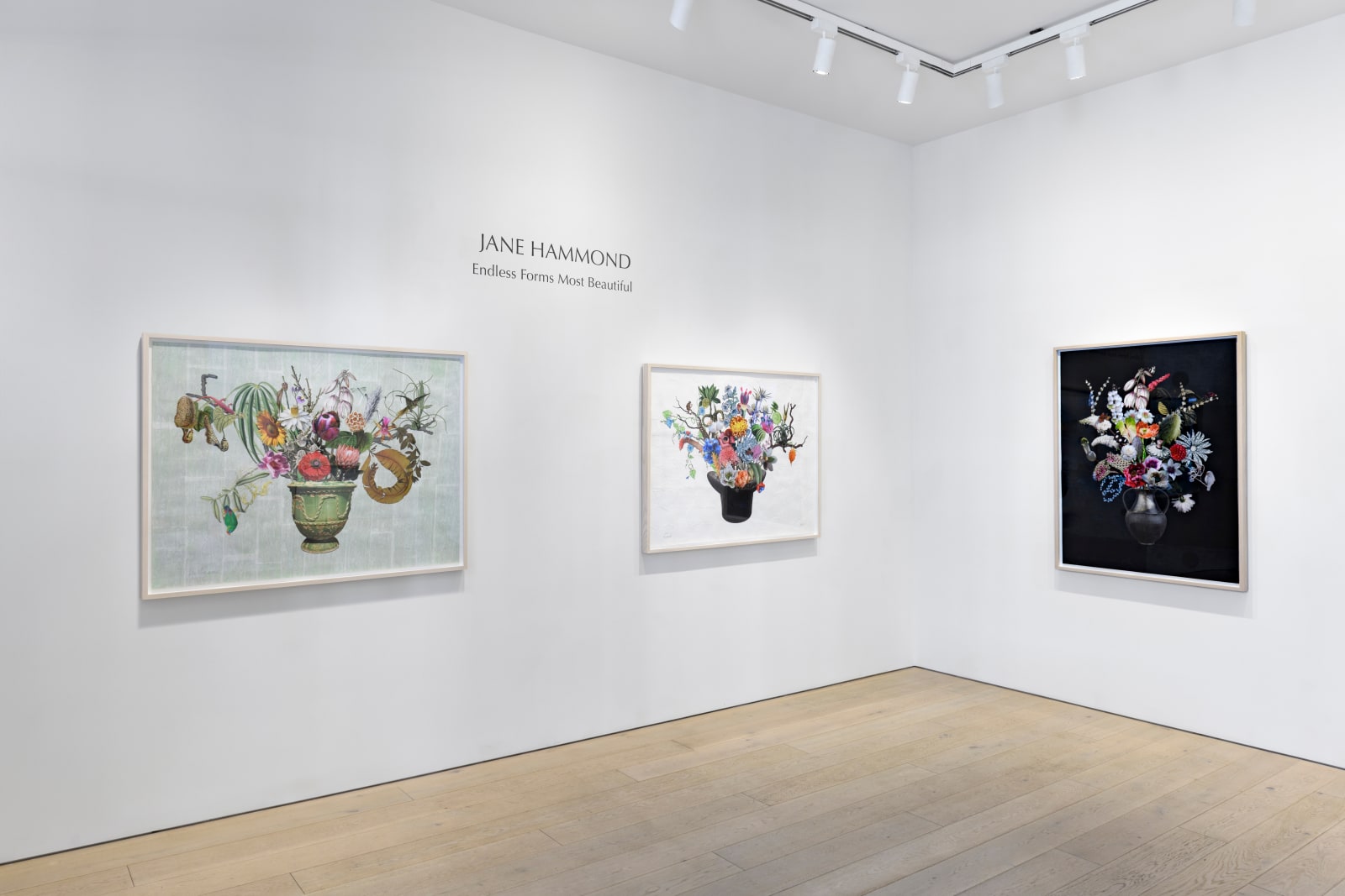 Installation photography by Shaun Roberts.