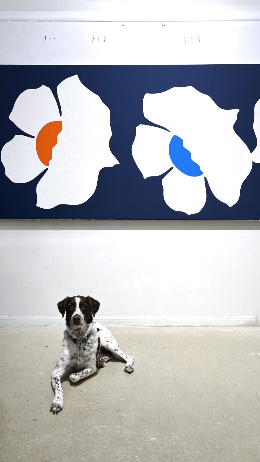 Paul Kremer's studio in Houston, Texas. Images courtesy of Paul Kremer Studio.