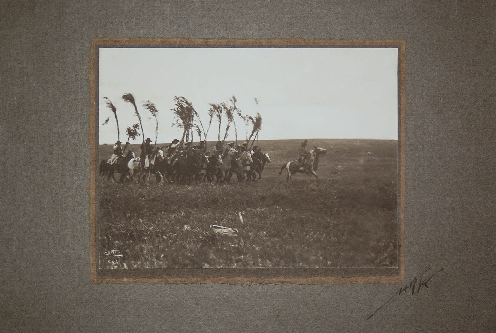 Edward S. Curtis, Bringing In The Willows - Blackfoot - Montana , 1900