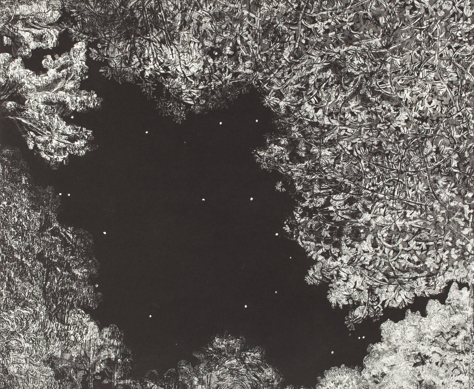Nancy Friese, Night Stars