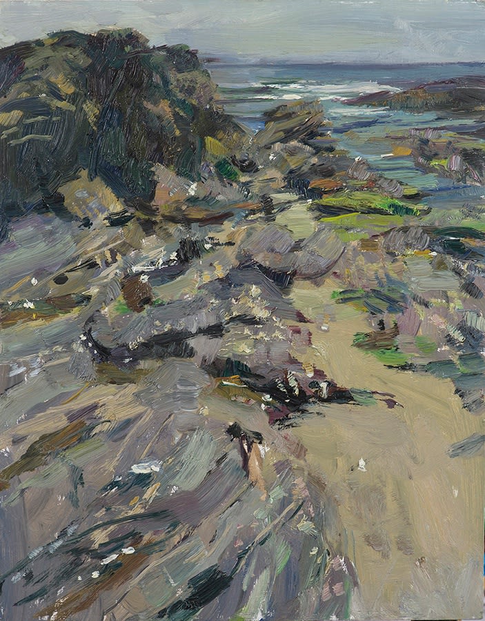 Tom Benjamin NEAC, Hemmick Beach, Cornwall