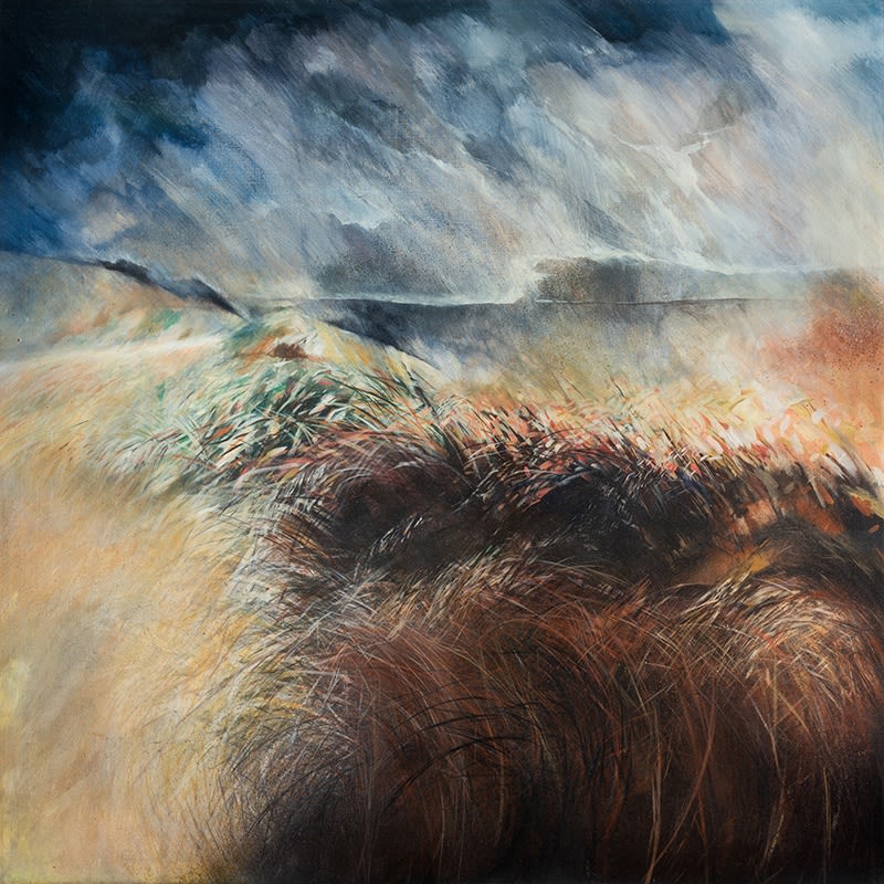 David Firmstone, Parys Mountain