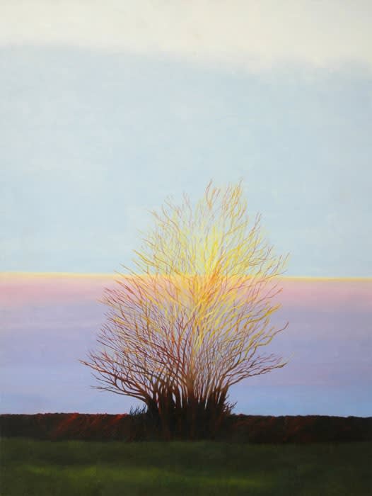 Stephen Jacobson, Early Morning Sun