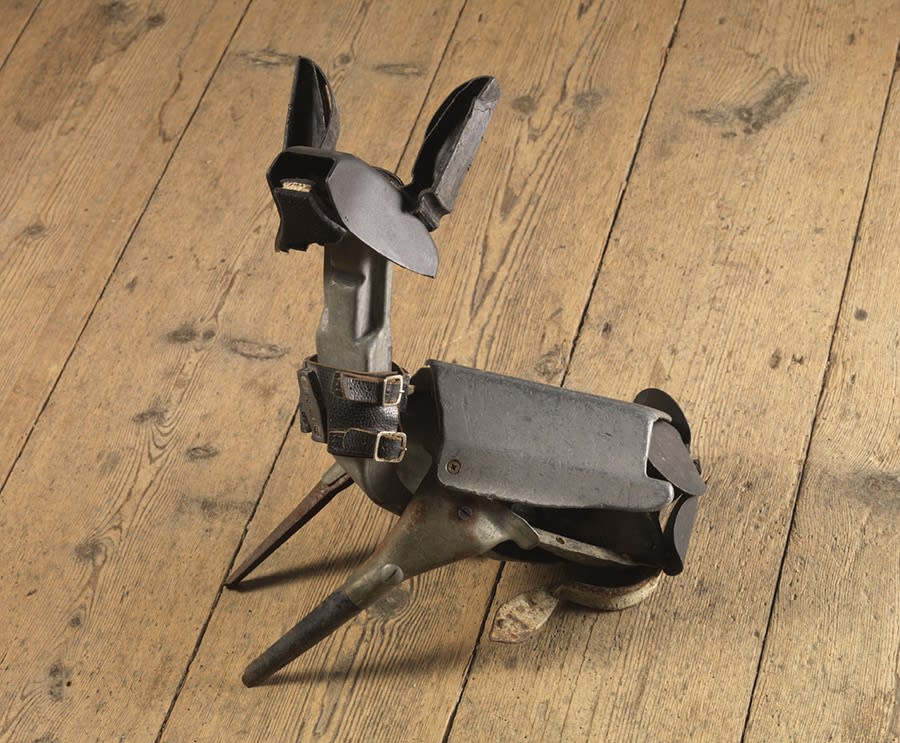 Emily Mayer, Mad, Bad and Dangerous to Know