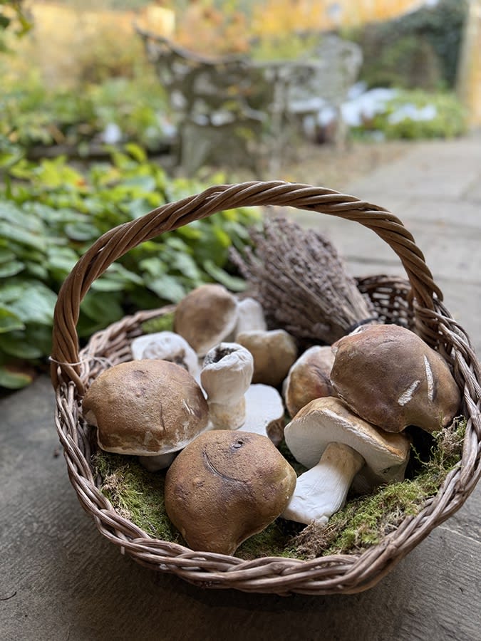 Amanda Coldridge, Basket of Giant Porcini Mushrooms