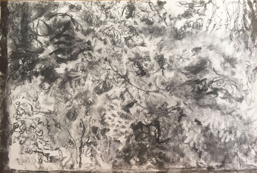 Sheila Englert, Lockdown Window