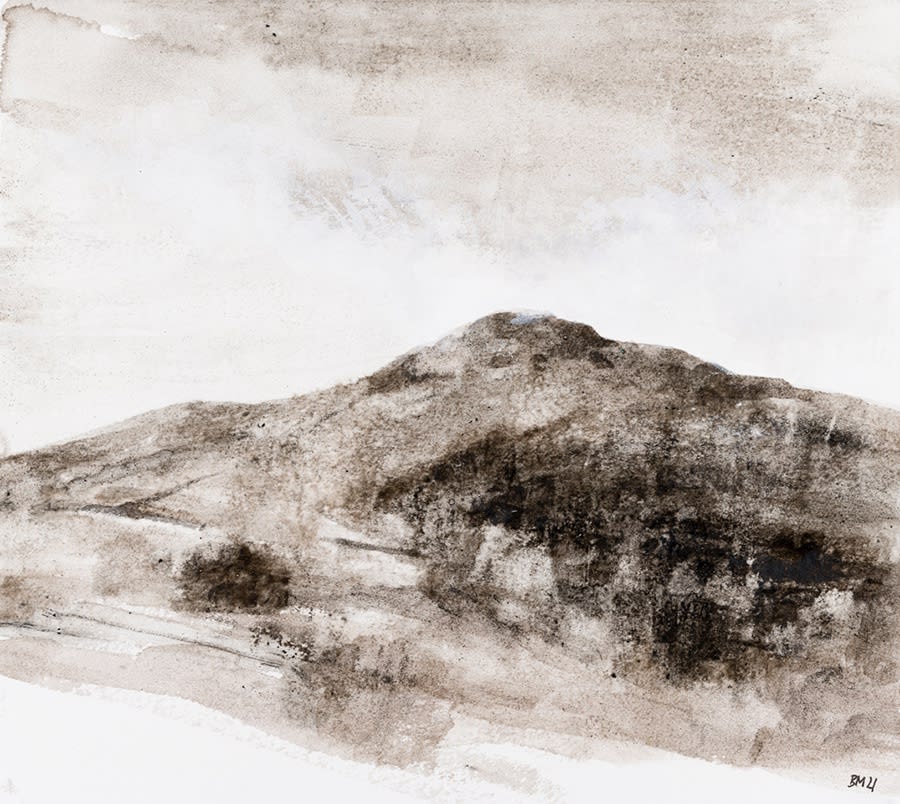 Bridget Macdonald, The Worcestershire Beacon