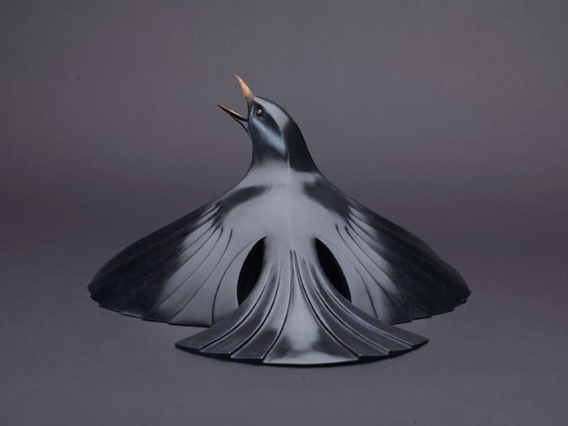 Paul Harvey, Sunbathing Blackbird