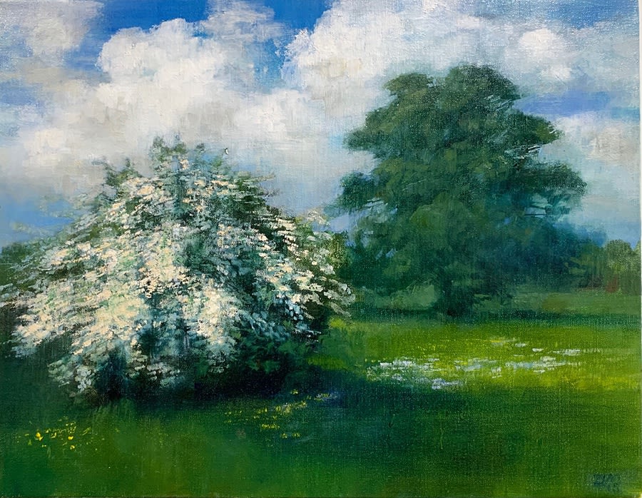 Bridget Macdonald, Bright Clouds of May