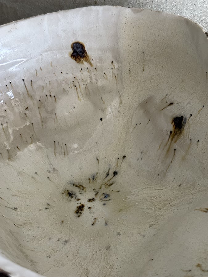 Amanda Coldridge, Timeworn Bowl