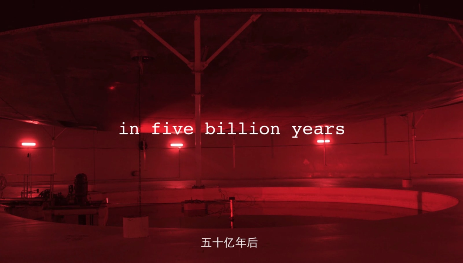 Alice Wang 王凝慧 ｜Oracle, 2017 ｜by Alice Wang and Ben Tong｜HD video｜9’42''