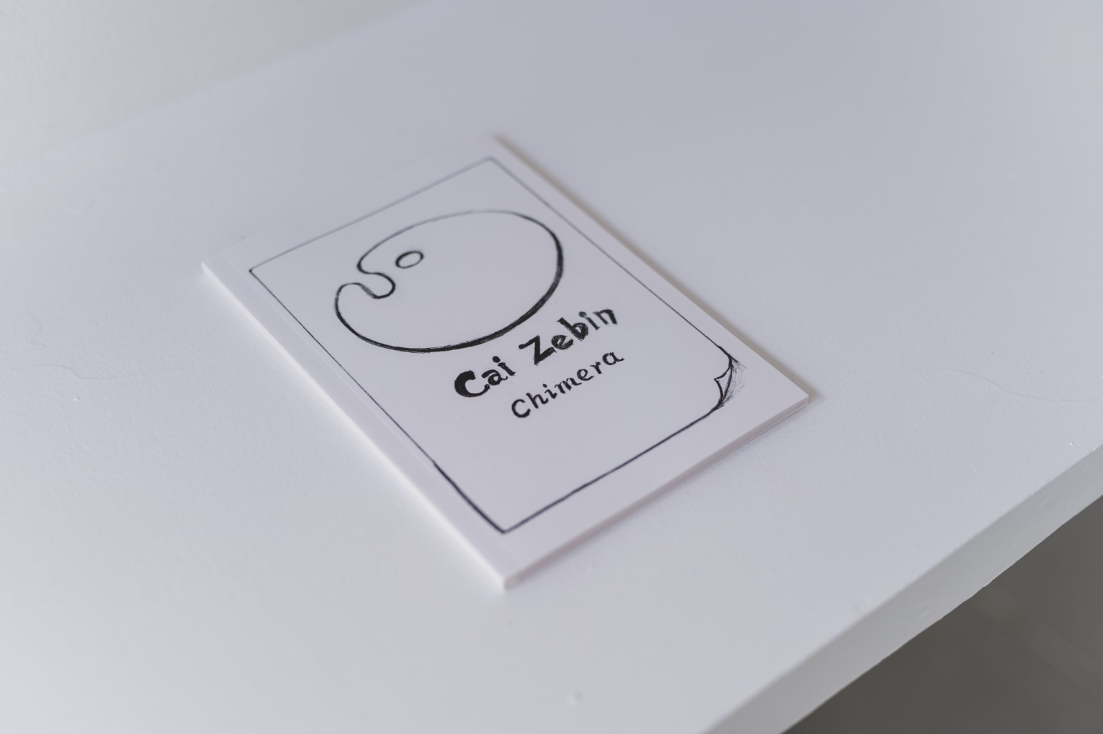 蔡泽滨 | “从佩雷尔街到南方哥特” 展览现场 | 2022 图片由香港中文大学（深圳）大学艺术中心TC101 SPACE提供 ©艺术家和胶囊上海 摄影：王佩超 Cai Zebin | "From rue Perrel to Southern Gothic" Installation Views | 2022 Images courtesy of TC101 SPACE of The Chinese University of Hong Kong, Shenzhen. ©Cai Zebin & Capsule Shanghai Photographer: Wang Peichao