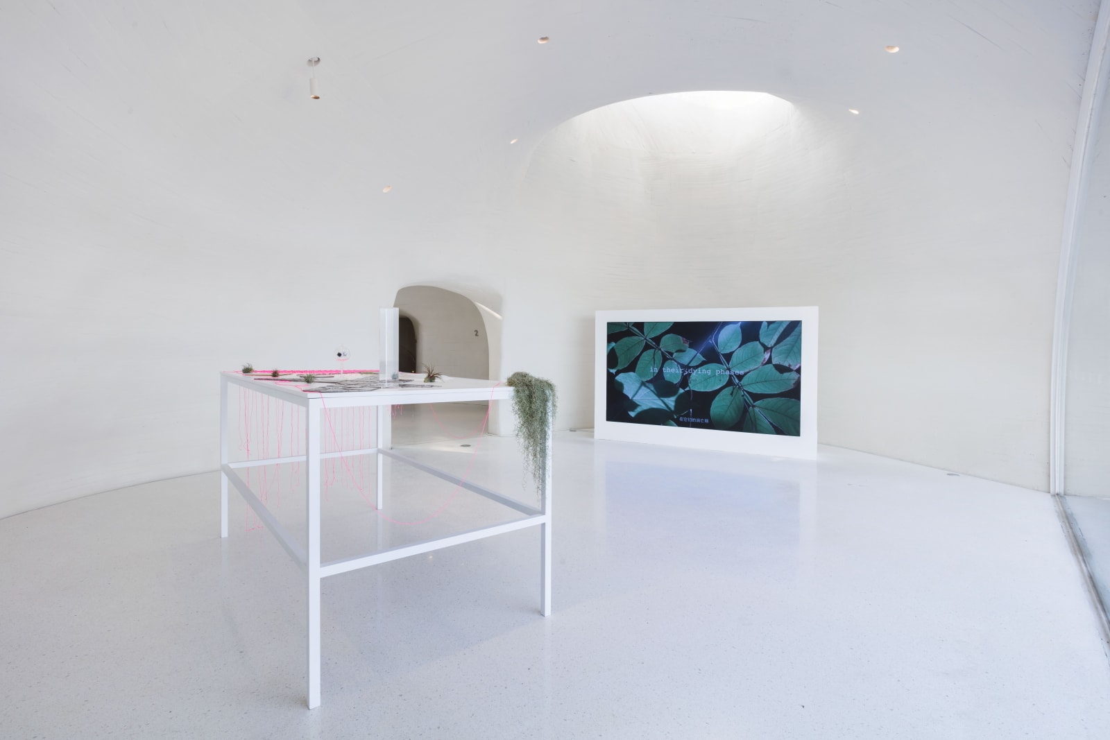 Installation view of “Alice Wang: The Touching Touched,” UCCA Dune, 2023. Courtesy UCCA Center for Contemporary Art. “王凝慧：触之可觉”展览现场，UCCA沙丘美术馆，2023。图片由UCCA尤伦斯当代艺术中心提供。