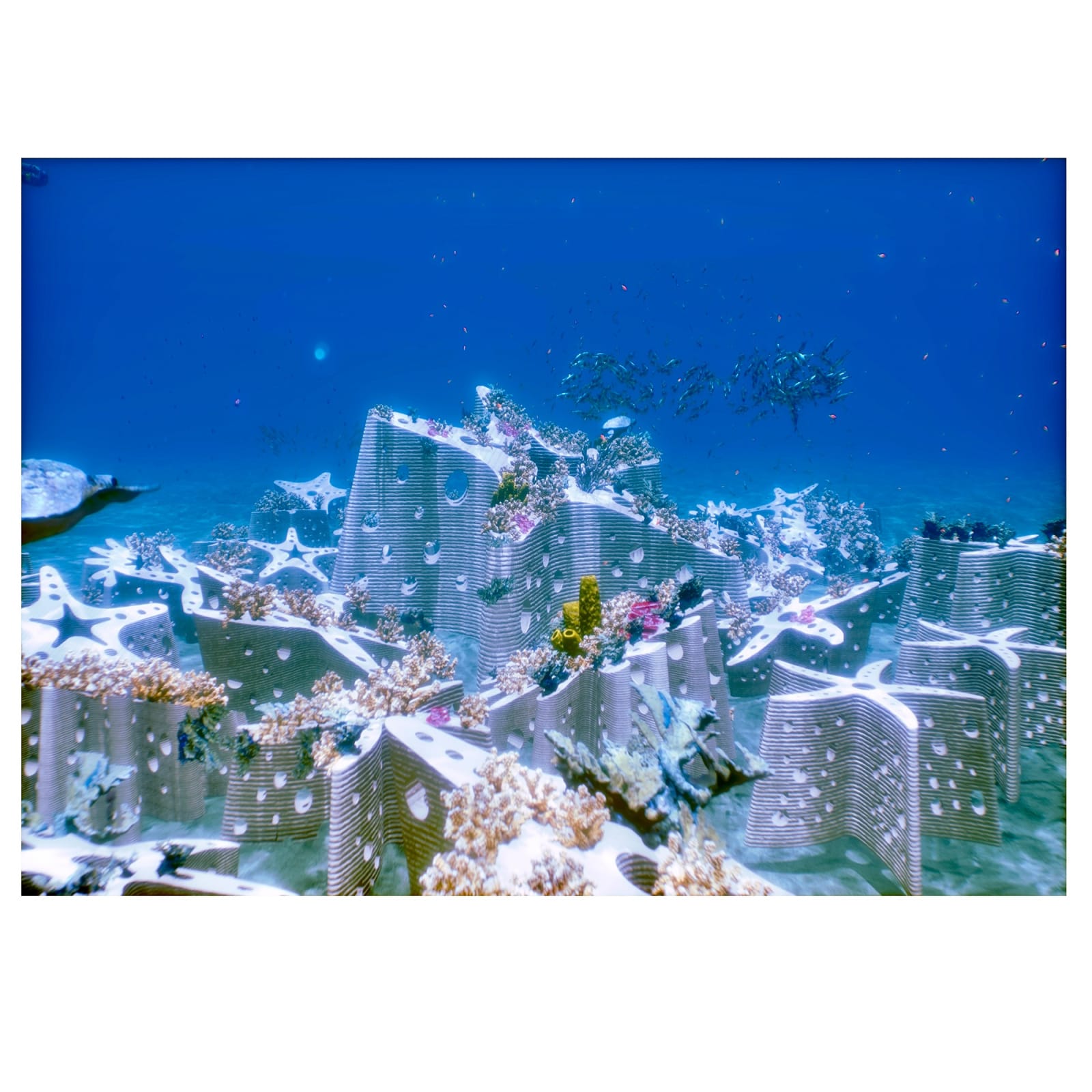 Carlos Betancourt in collaboration with Alberto Latorre, Miami Reef Star (3D video stills) , 2023-2025