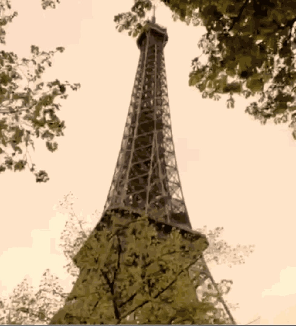 (Photos and videos of auction Event at Eiffel Tower, Paris), 2022