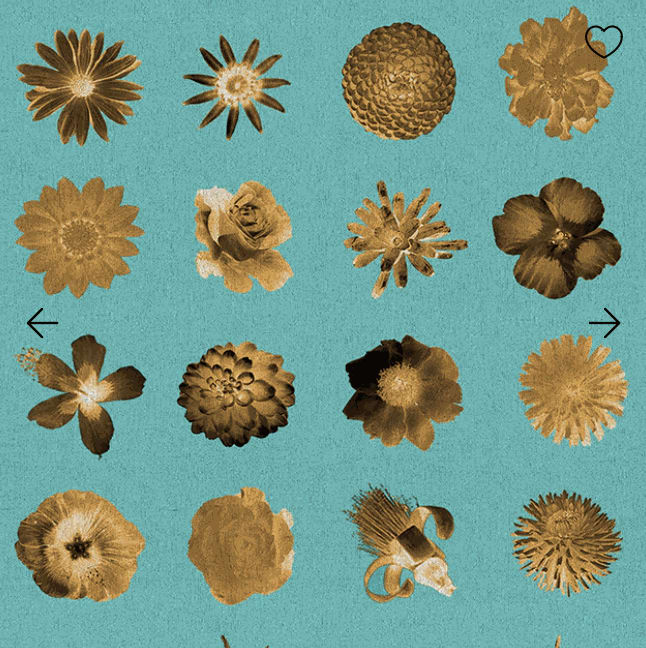 Carlos Betancourt, BETANCOURT Wallpaper and Murals series for CASAMONTE, Flowers and Flowers series, 2025