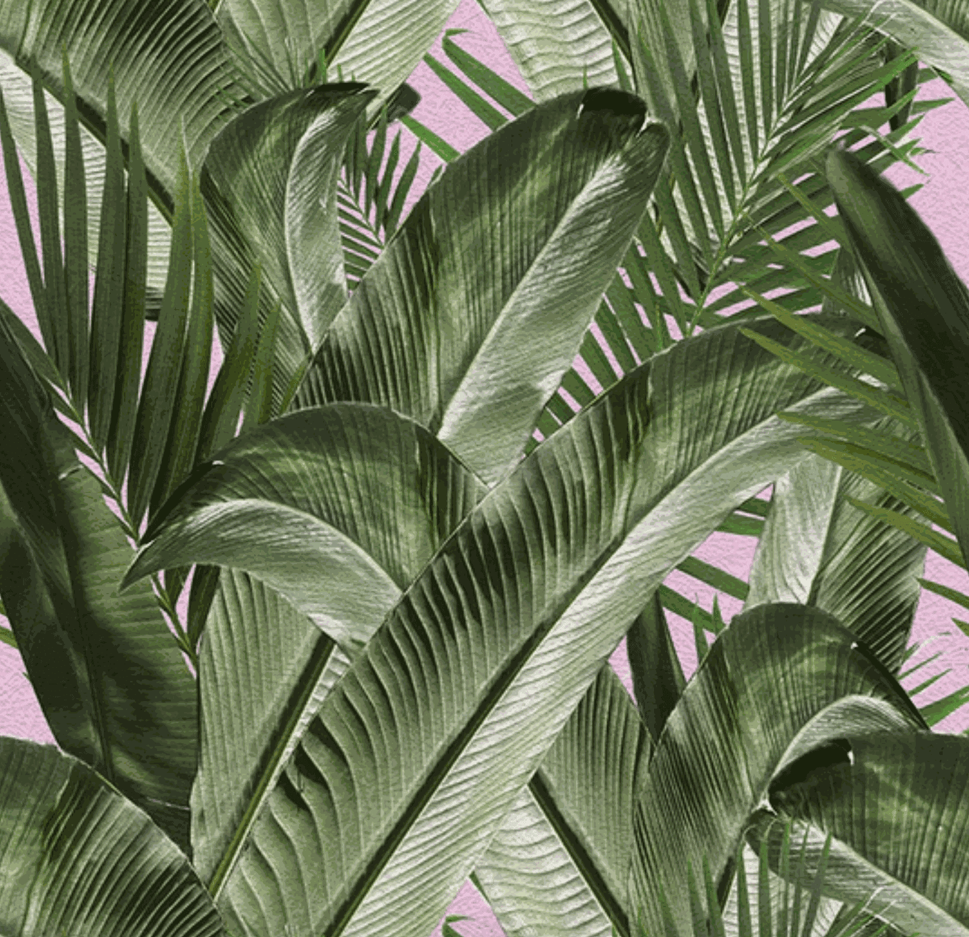 Carlos Betancourt, BETANCOURT Wallpaper and Murals series for CASAMONTE, Carlos Garden series, 2025