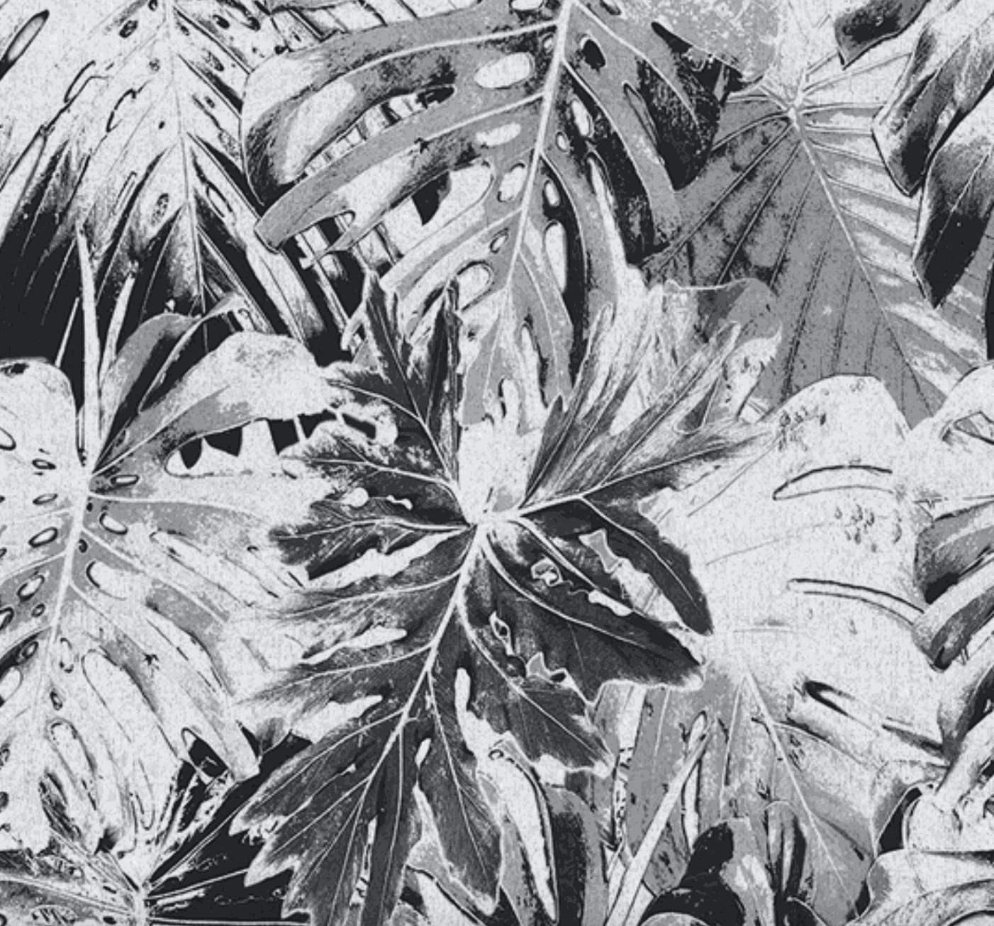 Carlos Betancourt, BETANCOURT Wallpaper and Murals series for CASAMONTE, Carlos Garden series, 2025