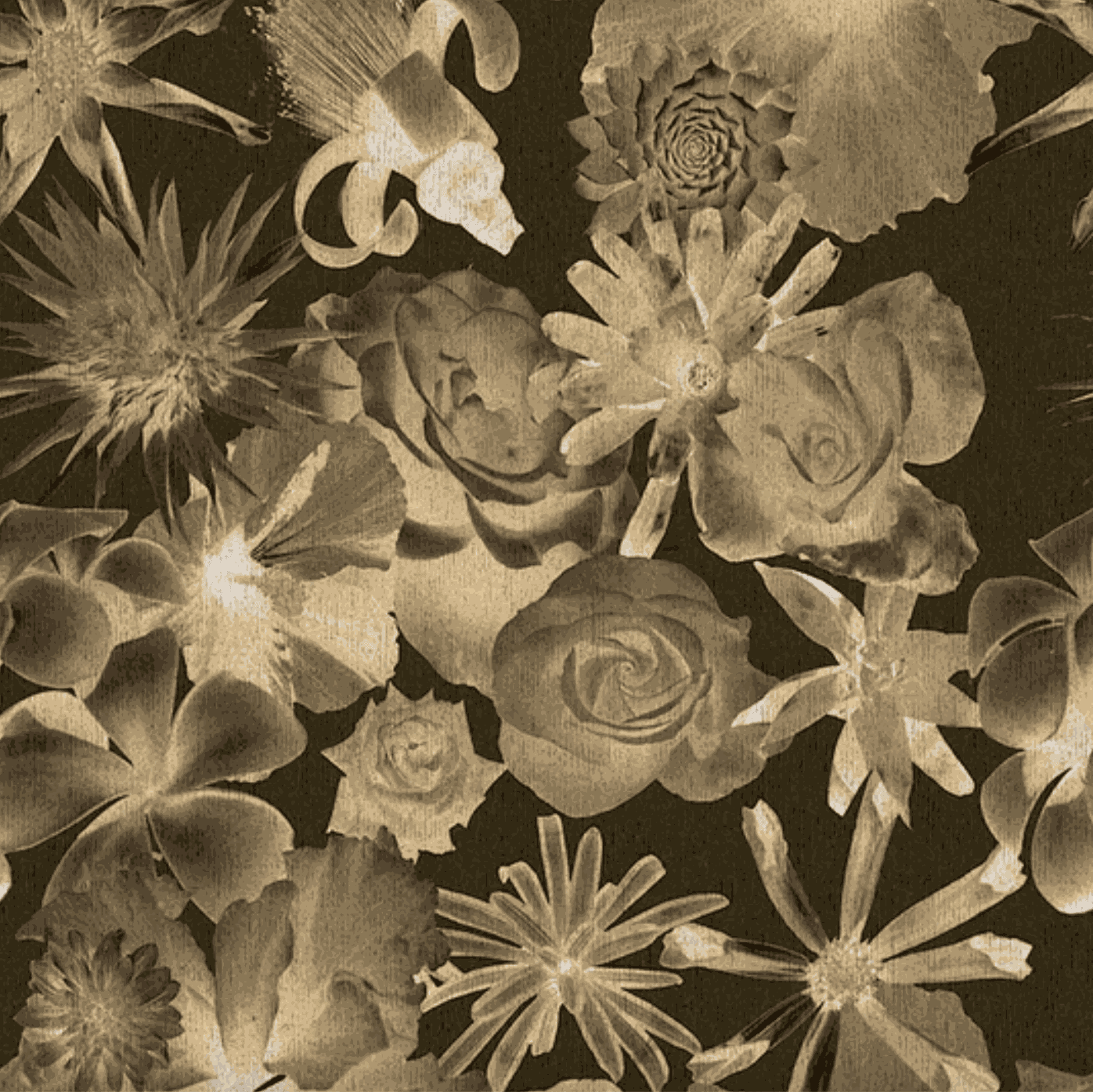 Carlos Betancourt, BETANCOURT Wallpaper and Murals series for CASAMONTE, Recollections Kingdom series , 2025