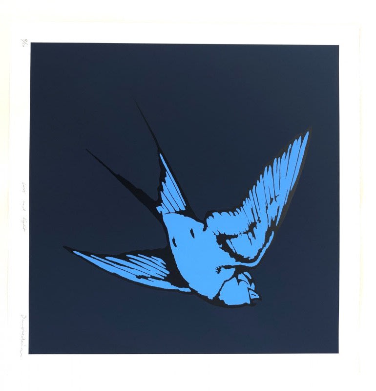 Dan Baldwin , Love and Light - Midnight Blue and Pacific Blue