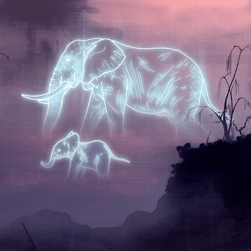 tom lewis , Neon Beasts Collection - Elephant