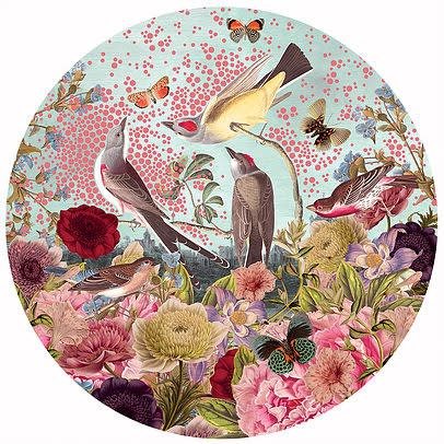Alexandra Gallagher , This Land