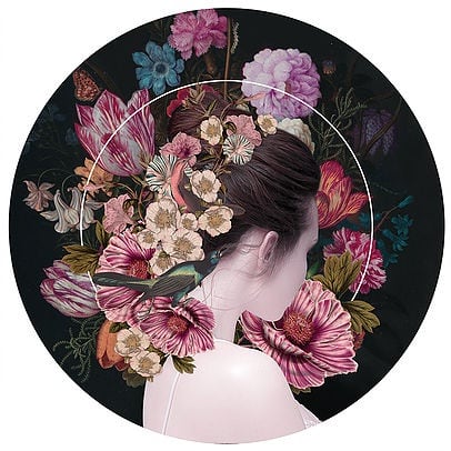 Alexandra Gallagher , Return the Way That You Came