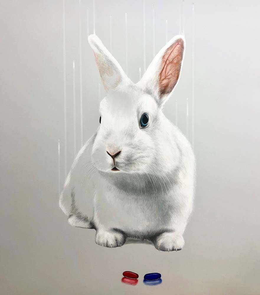 Louise McNaught , Down The Rabbit Hole