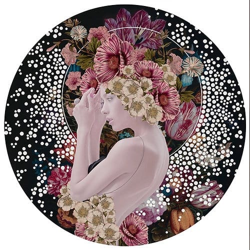 Alexandra Gallagher , Efflorescence