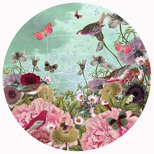 Alexandra Gallagher , Bird Song