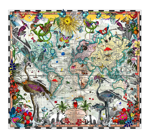 Kristjana S Williams , Navigators Tracks and Discoveries of the World