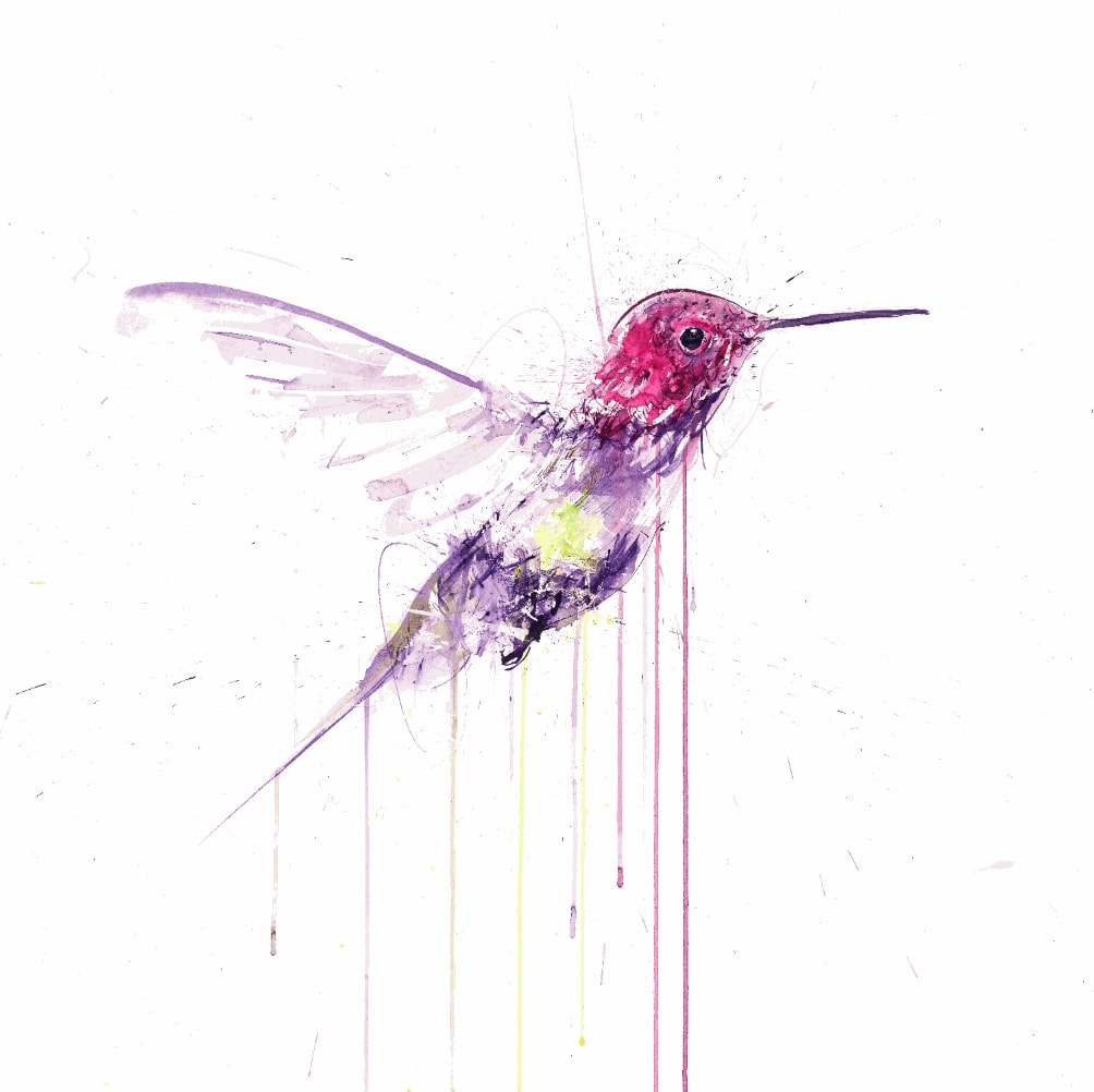 Dave White, Hummingbird I