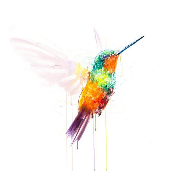 Dave White, Hummingbird IX - Deluxe